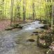 Dewdrop Recreation Area- Dewdrop Run
