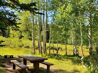 Gooseberry Creek Campground