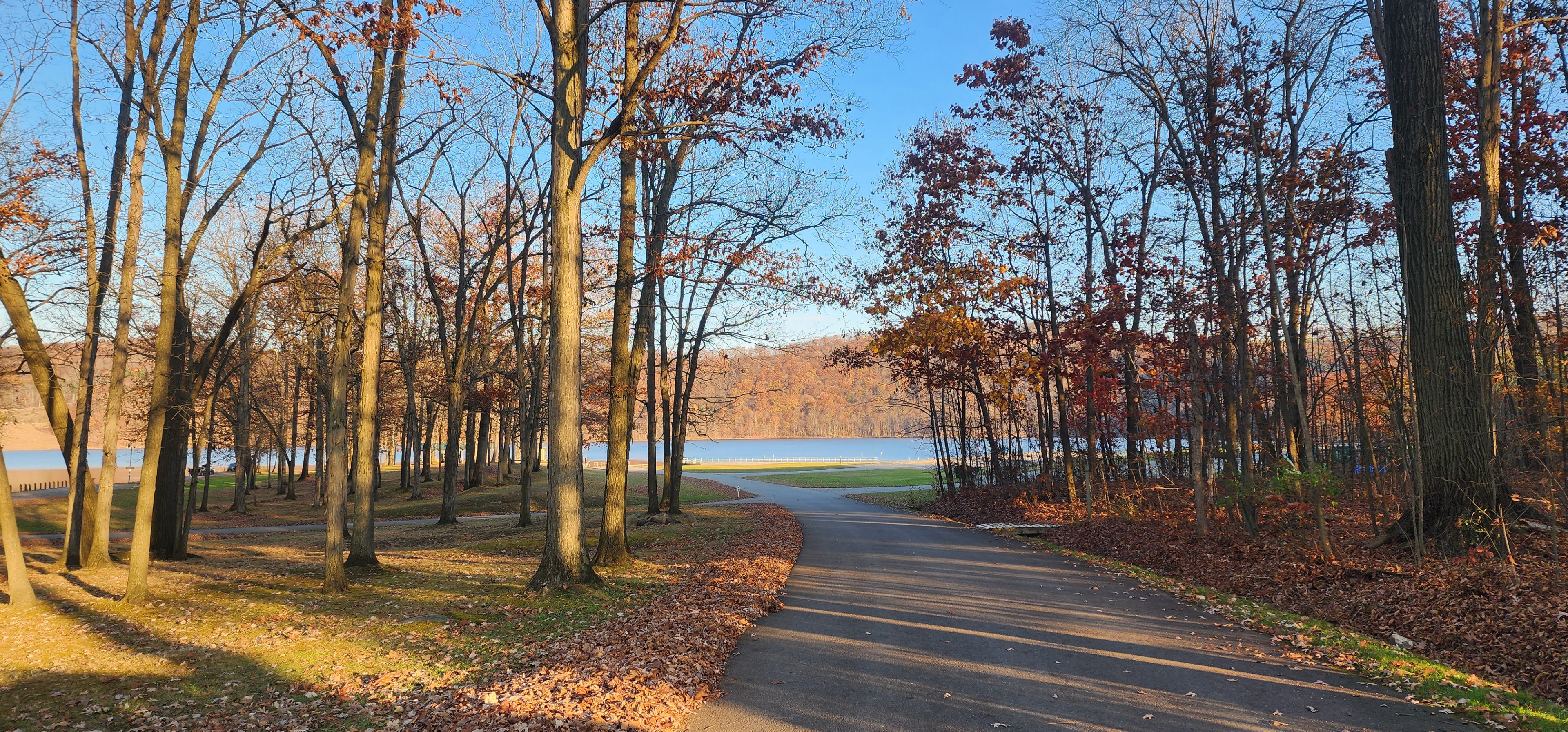 Curwensville Lake