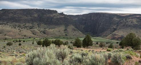 Three Forks