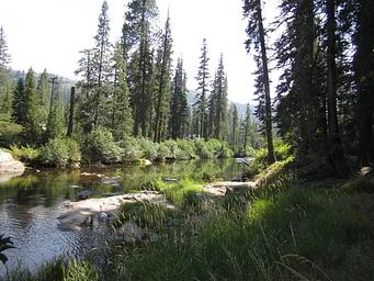 South Fork Yuba River