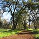 Valley Oak Recreation Area Trail