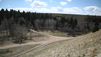 Bear Creek Campground - Mt
