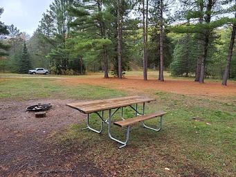Leg Lake Campsite 1 picnic table and fire ring