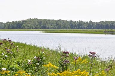 Sandy Lake