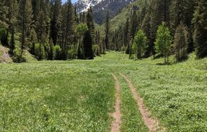 2018 Dutchmen RV Aspen Trail 3010BHDS
