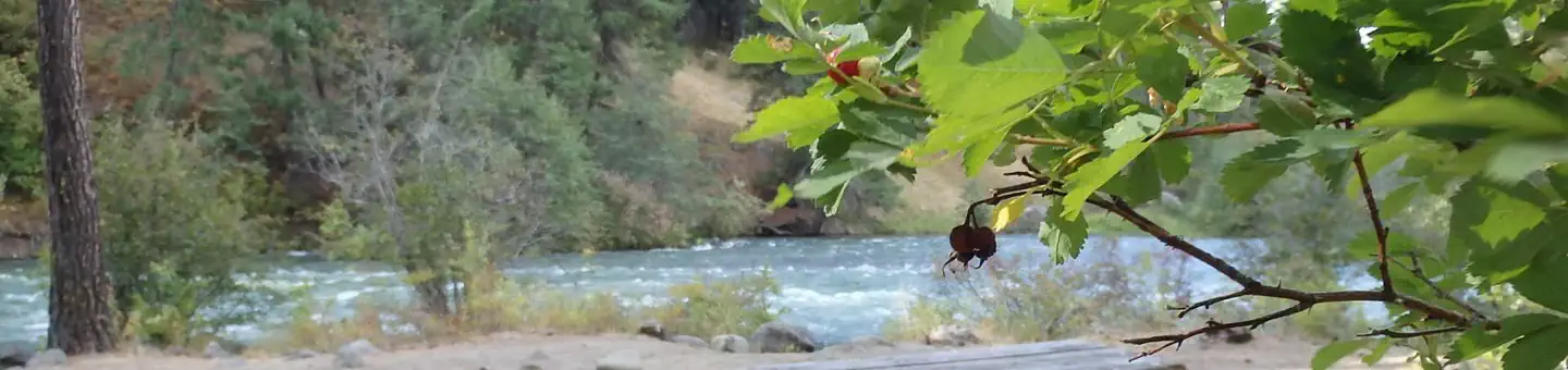 Hause Creek Campground