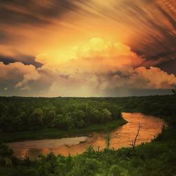 Voyageur's View