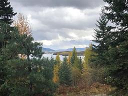 Anna Creek Cabin