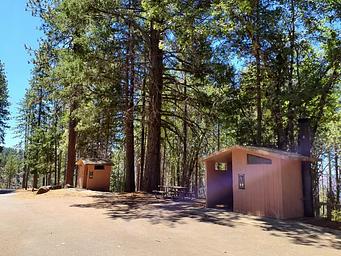 Penny Pines