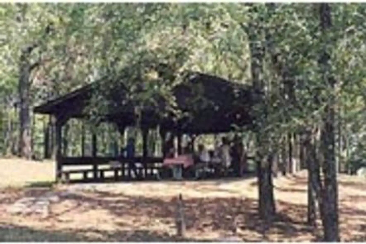 Turkey Creek