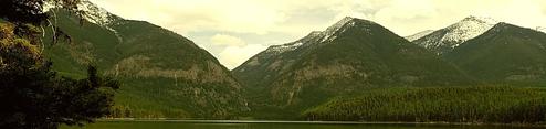 001, Loop: AREA OWL CREEK CABIN