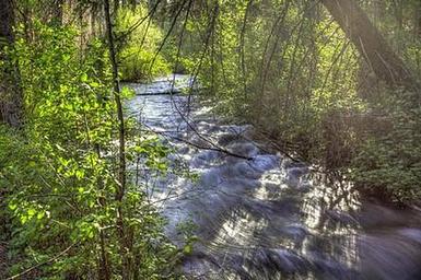 CANDLE CREEK CAMPGROUND