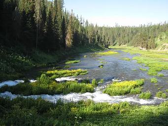 Warm River Springs