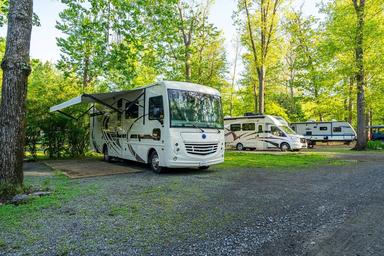 Clear photo of full-hookup RV sites and pull-through parking with trees and gravel pads — useful to show RV accommodations and site setup.