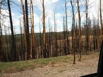 Meadow Ridge