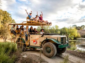 Historic-style safari tour vehicle with guests on the property and park landscape visible — represents on-site tours and the guest experience (used as background on site home page).