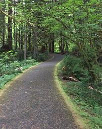 Wildwood Recreation Site