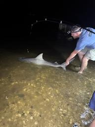 Nighttime shoreline image showing a person handling a large fish (or shark) near the water under a pier — documents nighttime fishing activity and waterfront character of the campground.