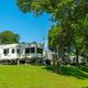RVs parked on a grassy site surrounded by trees at Lost River RV Park