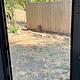 2025 Heartland Eddie Bauer 21’ Camper–Sleeps 6