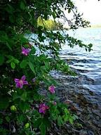 Mcgregor Lake Campground