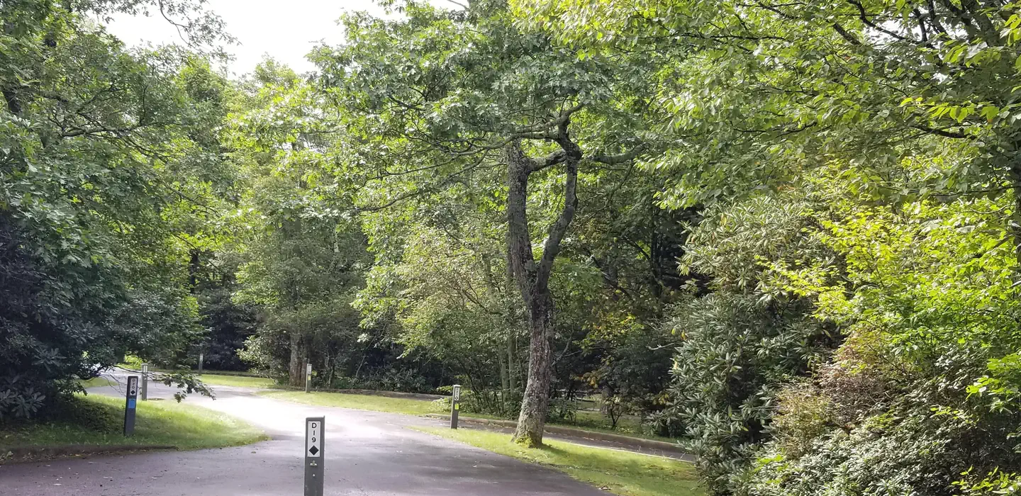 Mount Pisgah Campground