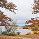 Belle Starr Park