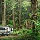 2019 Airstream RV Basecamp 16X