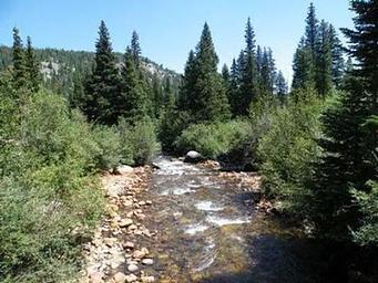 Peaceful Valley
