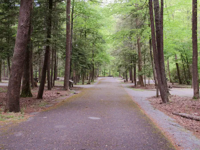 Paint Creek Campground