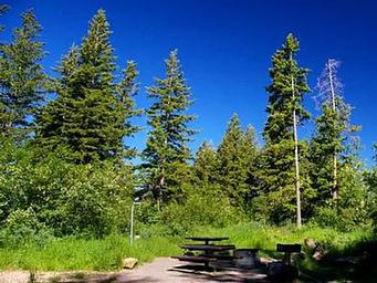 Scout Mountain site with trees
