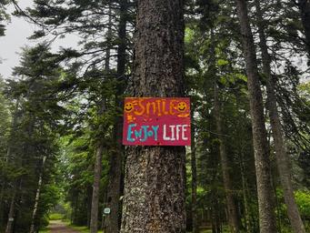 Bass Harbor Campground