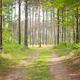 Campspot slideshow image 3
