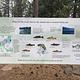 Juanita Lake Fish Species Information