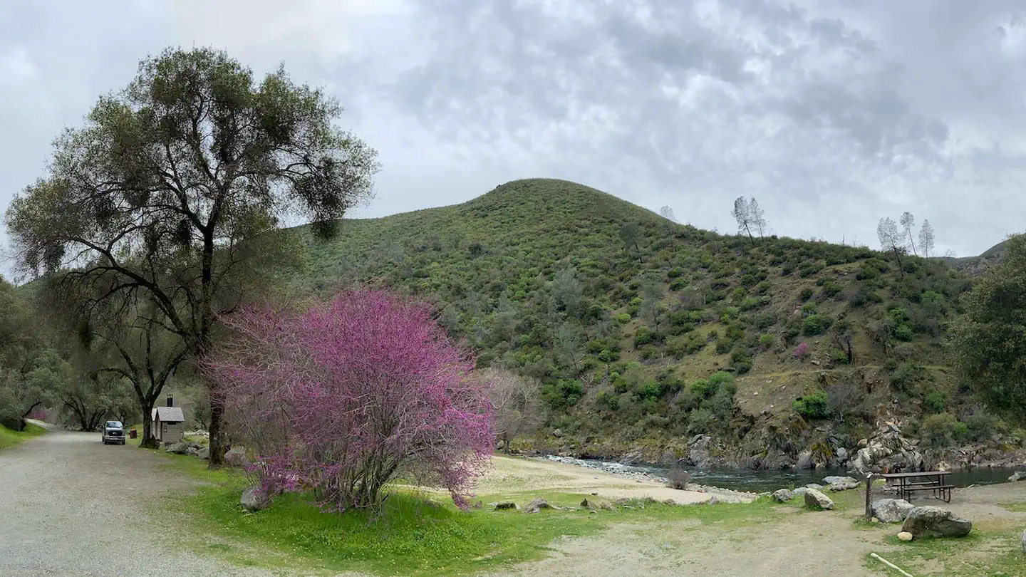 Mccabe Flat Campground