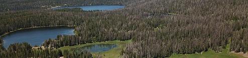 Lilly Lake Campground