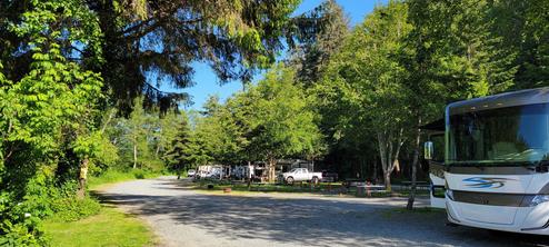 Photo of RV spaces and an RV on-site showing hookups, road and tree cover — good representation of RV pitches; from the site types/gallery page.