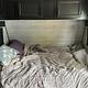 2022 Jayco Jay Flight SLX 8 242BHS RV rental photo 19