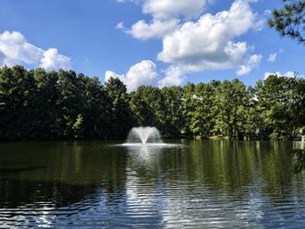 Lone Star Lakes RV Park