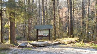 West Fork Campground (Clayton, GA)
