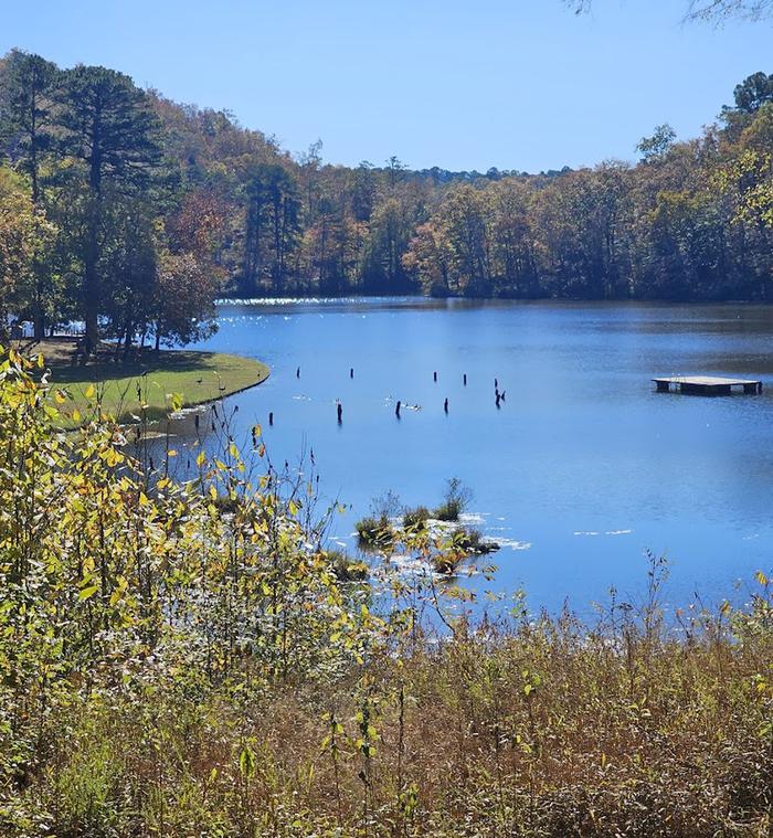 Shady Lake Campground