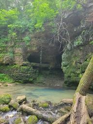 Birds Nest Lodge