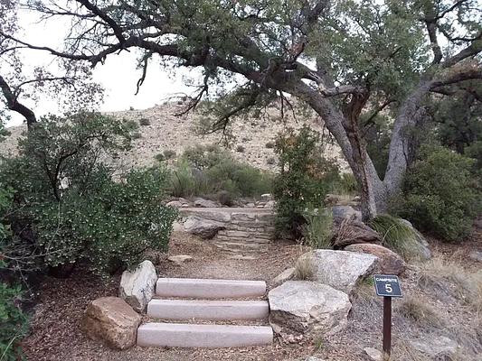 Molino, Loop: MOLINO