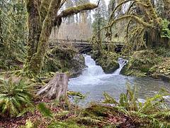 A photo of facility FALLS CREEK CAMPGROUND with Waterfront