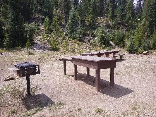 GS1, Loop: SOUTH FORK GROUP