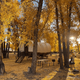 Covered Wagon Fall