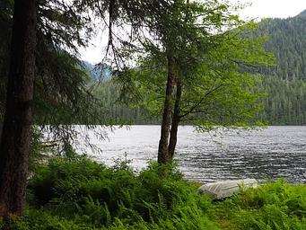 Lake shore with small boat and green trees