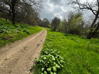 Campspot slideshow image 3