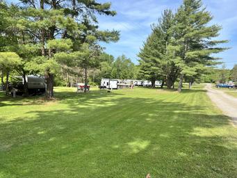 Daytime view of multiple RV sites and a gravel access road across a mowed field with shade trees — matches the 'Site Information' page and shows the campground layout and pitches.